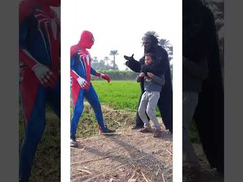 سبايدر مان ينقذ طفل من الغوريلا