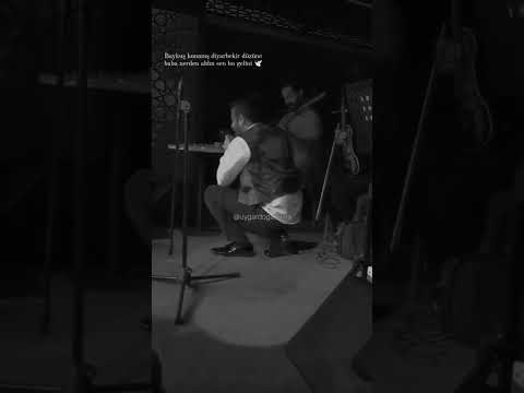 Uygar Doğanay Baykuş Konmuş Diyarbekir Düzüne Storylik Kısa Konser Videosu