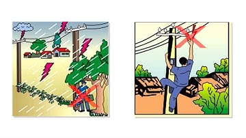 Phóng sự Việt Nam: Bảo đảm an toàn hành lang lưới điện mùa mưa bão