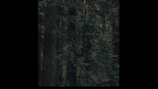 Python Tutorial 31 - Creating / Importing Modules