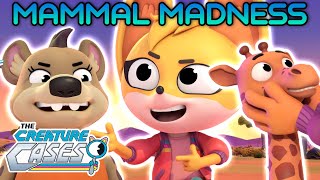 @CreatureCases - 🦊🦏 Mammal Madness Month! 🦒🐵 | Mammal Mysteries | Compilation | Kit and Sam