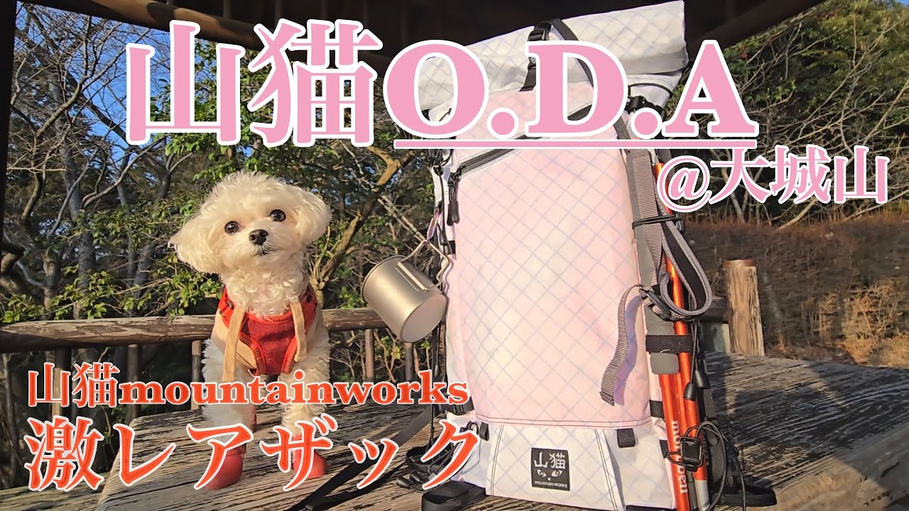 おちゃこと山猫O.D.A〜山犬と山猫を連れて大城山へ〜