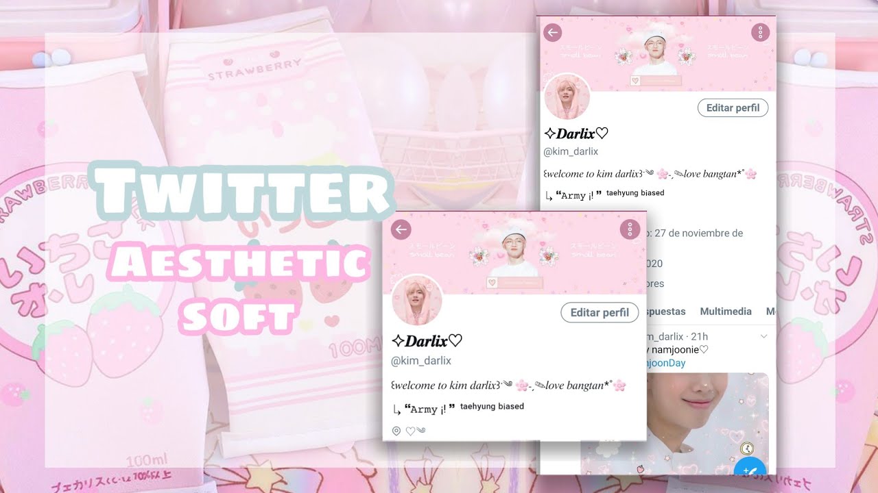 ₊˚✧ personaliza tu twitter de forma aesthetic🌸