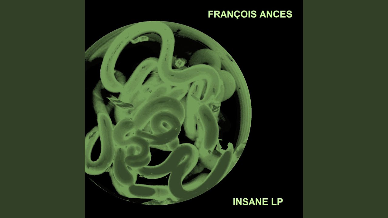 Watch INSANE X on YouTube Watch INSANE X on YouTube