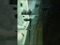 Samus Thumbs up/ Mission Complete Scene- Metroid Prime 3