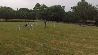 Koda - bend grid all 8 - 06-06-2023