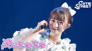 【韓国LIVE映像】ぷりきゅきゅ📍世宗大学 大洋ホール(2026/7/25)【CUTIE STREET】