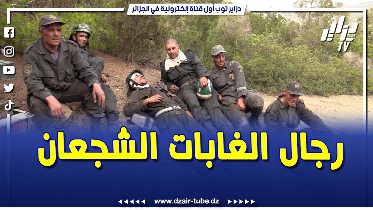 جنود الصمت الذين أوقفوا حرائق الغابات بشجاعة وبسالة 🥹💔رفقة الحماية المدنية  و الجيش الوطني الشعبي 🇩🇿