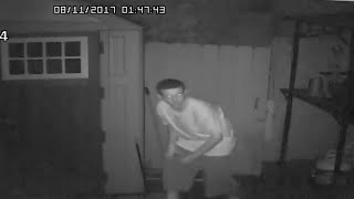 Home surveillance cameras capture man stealing tools from backyards