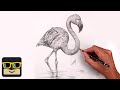 How to draw a flamingo  sketch tutorial
