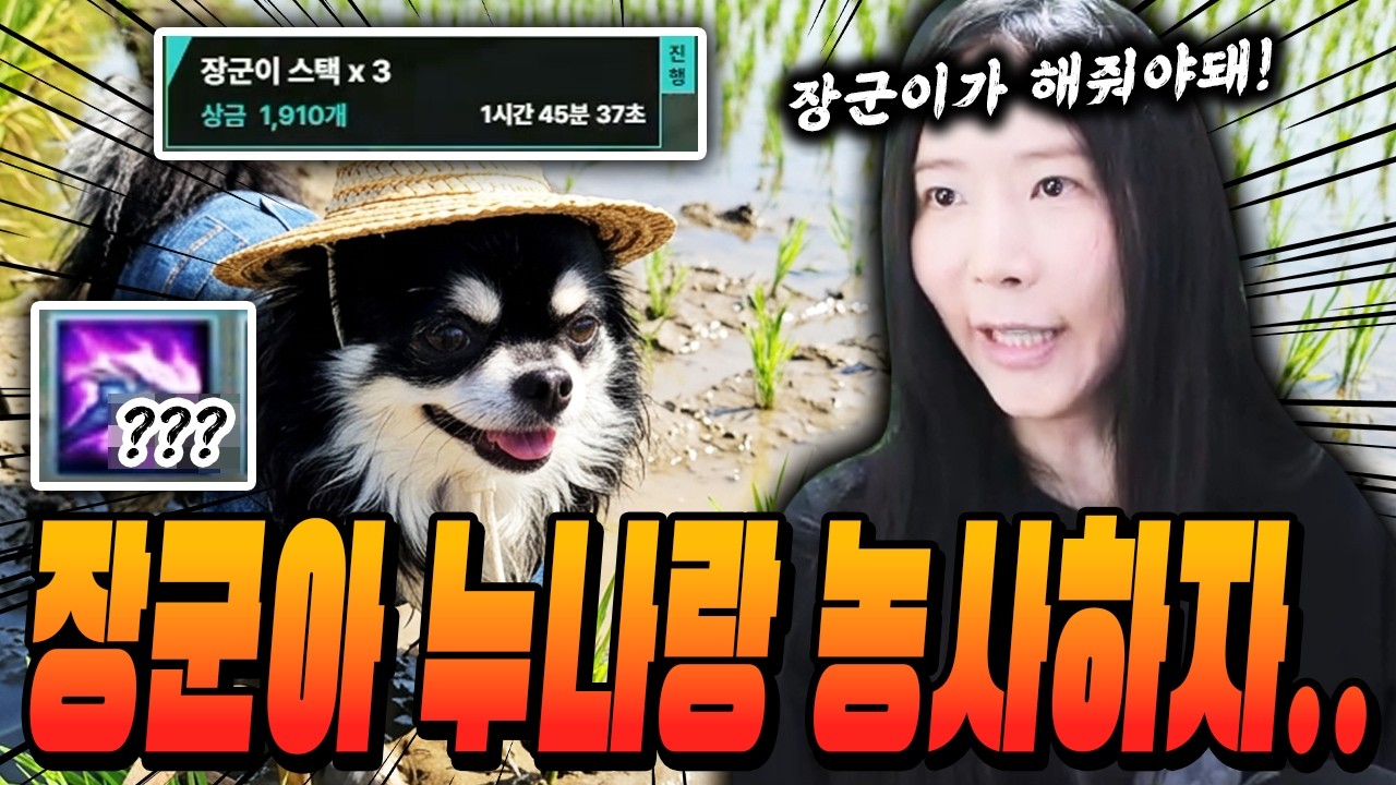 스택을 쌓을 수록 내 간식비가 생기는거개~~
