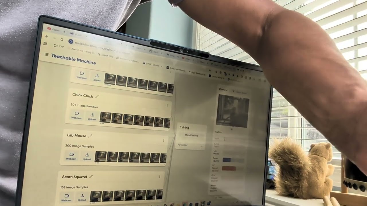 Audio about preview of animals