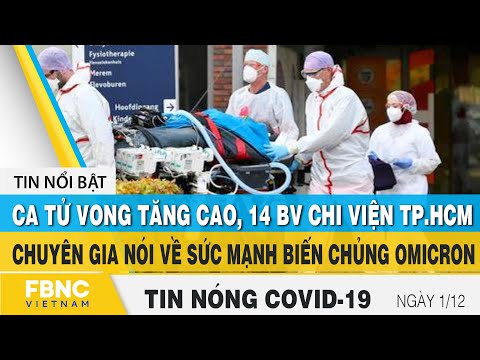 Video: Đi đâu Biển Vào Tháng 12