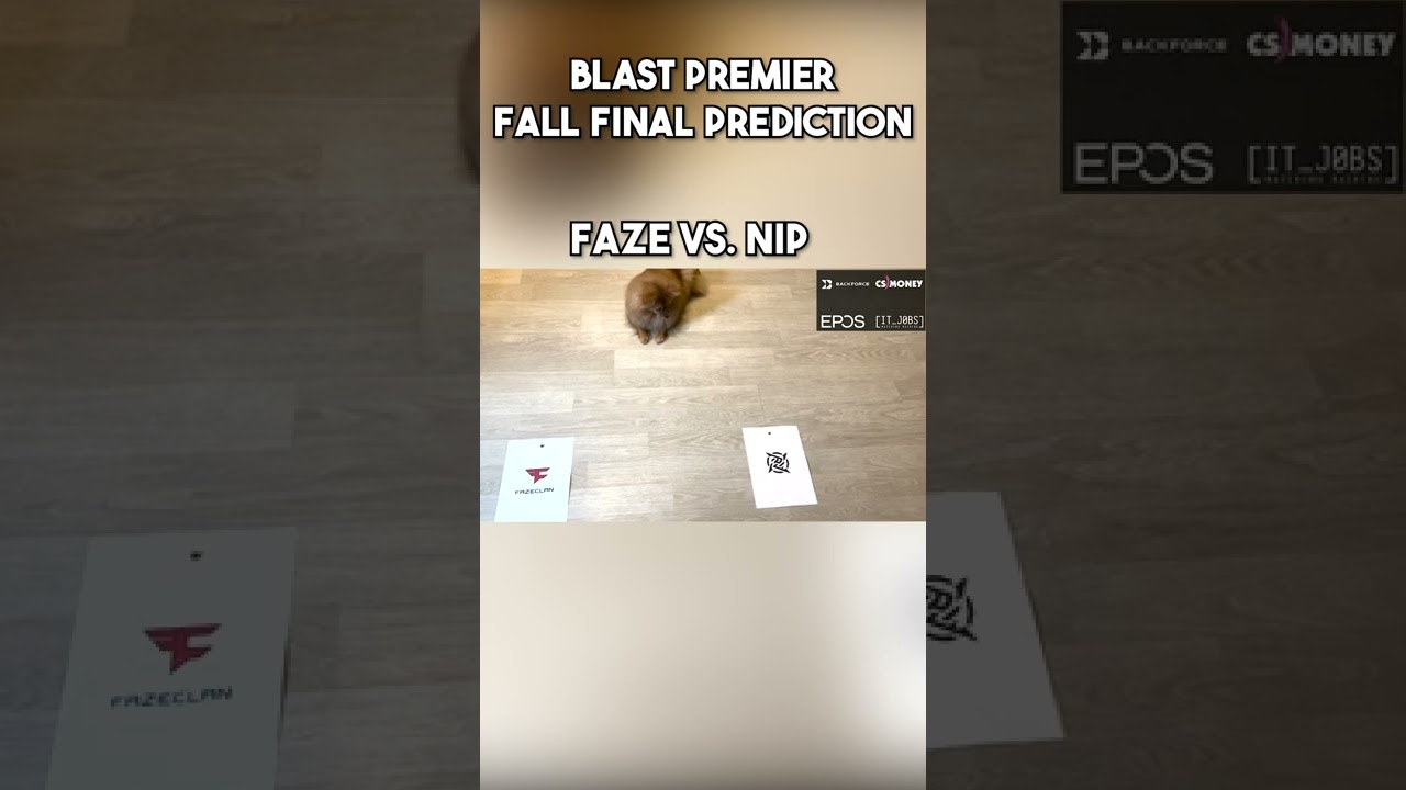 FaZe vs. NIP BLAST Premier Fall Final Prediction