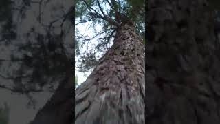 VID 20200825 191627