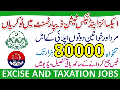 Excise and Taxation Jobs 2024 Online Apply - Jobs Excise and Taxation - How To Apply Excise Taxation