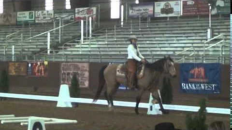 Lisa Wegener and Driftwoods Pal - Drifter