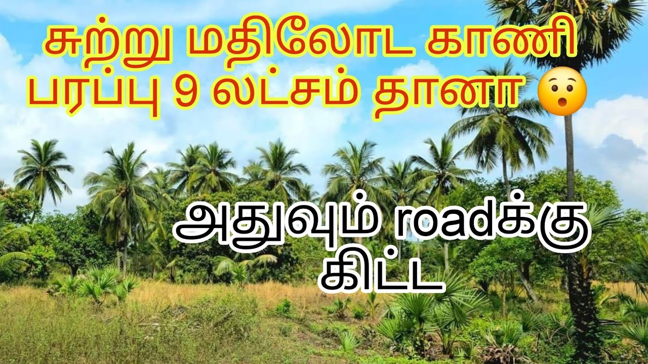சண்டிலிப்பாய் - சங்கானை வீதியில்  இருந்து 500M இல் சுற்று மதிலுடன்  33பரப்பு காணி விற்பனைக்கு