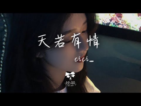 cici_ -  天若有情 (cici_版)「天若有情亦無情 愛到最後要分離」【動態歌詞】♪