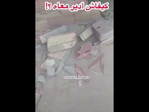 اهدر درك نتا  كبش العيد