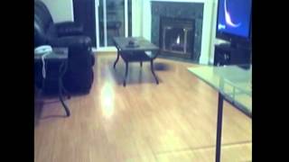 Time Lapse - iRobot Roomba Vacuum