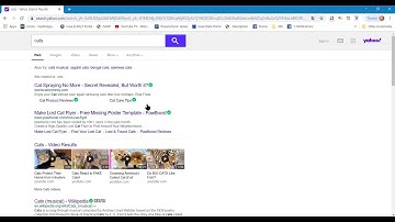 Translating: Using Chrome to Translate Web Pages