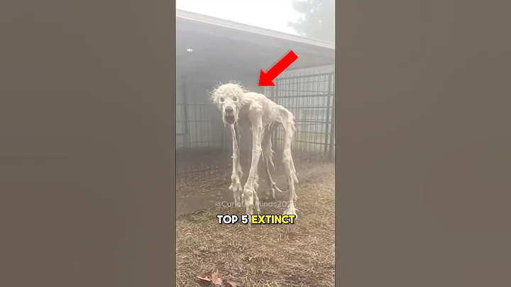 TOP 5 EXTINCT ANIMALS THAT SCIENTISTS ACTUALLY WANT TO BRING BACK!!