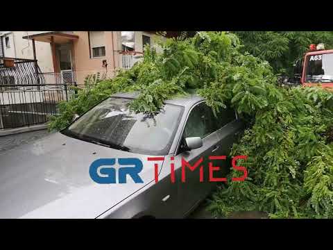 Πτώσεις δέντρων σε αυτοκίνητα λόγω της καταιγίδας στη Θεσσαλονίκη