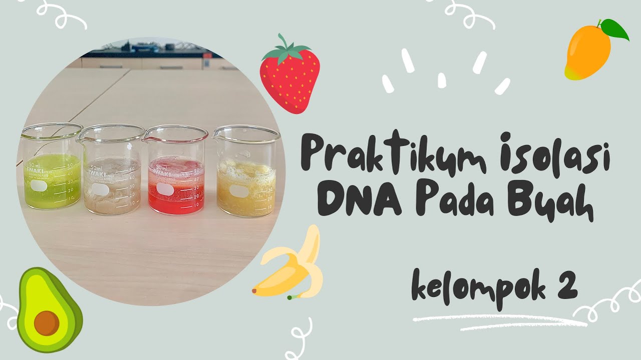 Kelompok 2 - Praktikum Isolasi DNA Buah [Pisang]