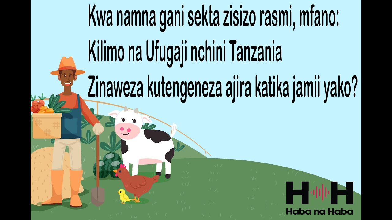 Sekta zisizo rasmi nchini Tanzania, zinawezaje kutengeneza ajira katika jamii yako?