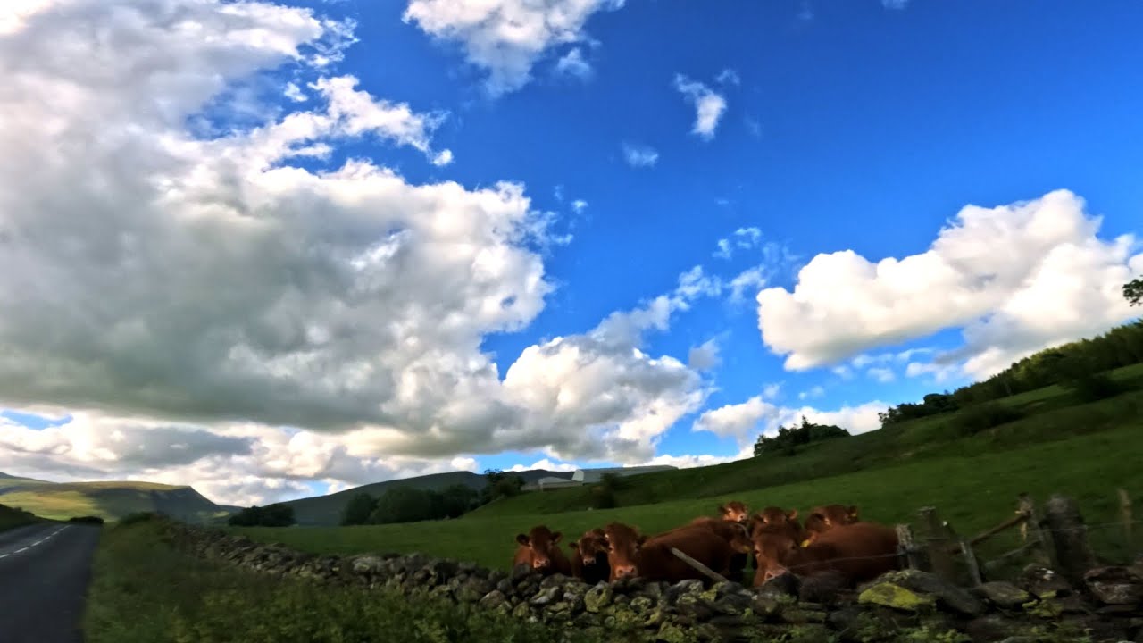 The Lake District: High Rigg and Around Part 2 (Thirlmere, Endland)