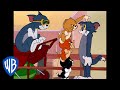 Tom  jerry  tricks on you  classic cartoon compilation  wb kids