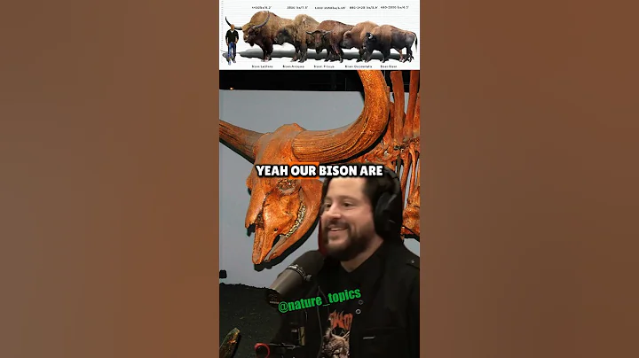 The Extinct Giant Bison You’ve Probably Never Heard Of - Ben Lamm on Joe Rogan Experience