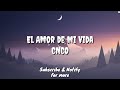 El Amor De Mi Vida (Lyric) - CNCO