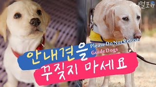 Please Do Not Refuse Guide Dogs [Dogs Are Incredible]