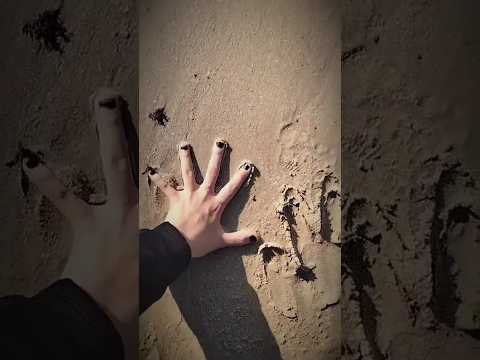 دائما يا بحر مخبي أسرارنا  