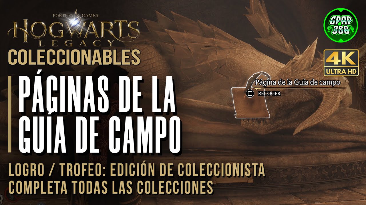 Hogwarts Legacy | Guía de TODAS las Páginas de la guía de campo (Trofeo: Edición de coleccionista)