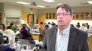 THE SCIENCES PROGRAM VIDEO