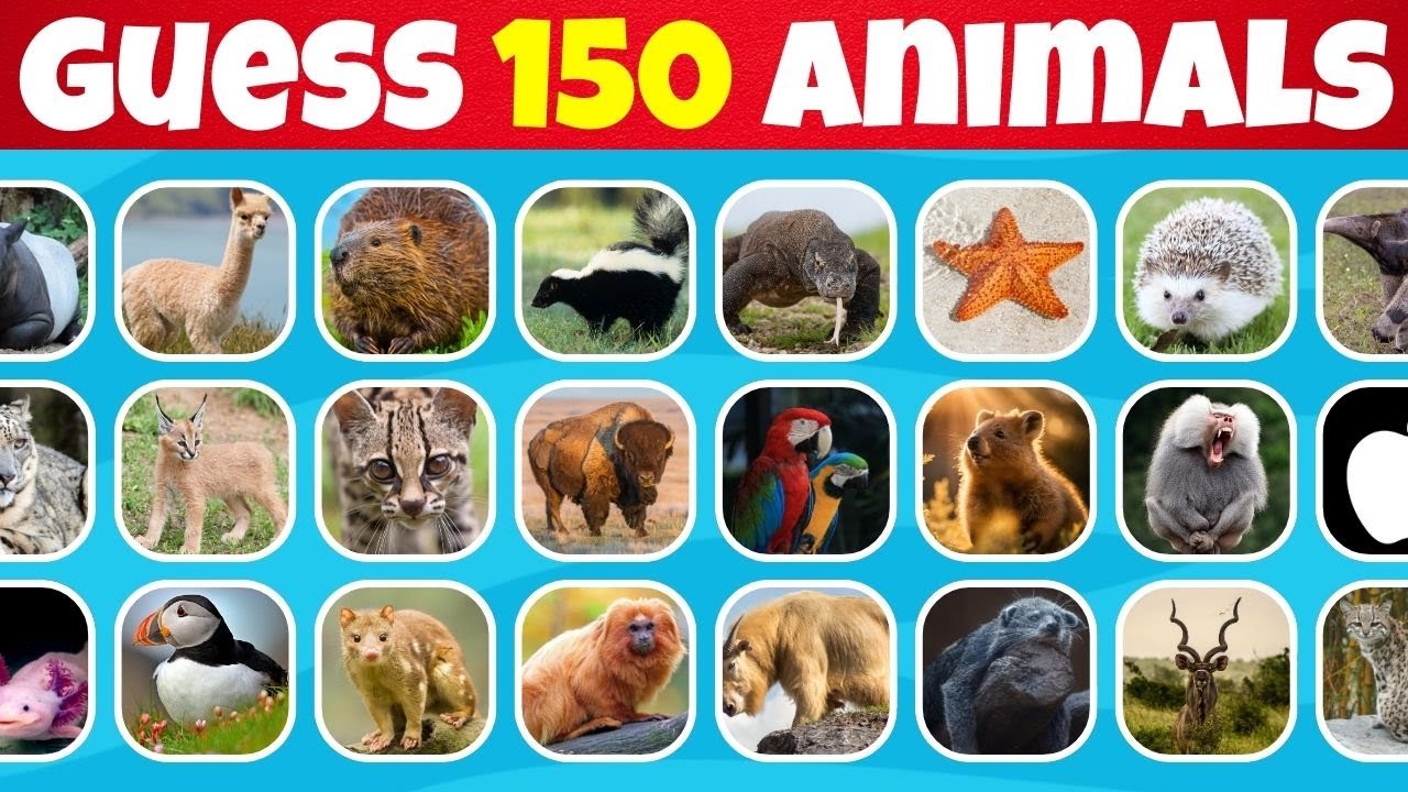 Impossible To Guess 150 Animals By Images | Easy, Medium & Hard Level ...