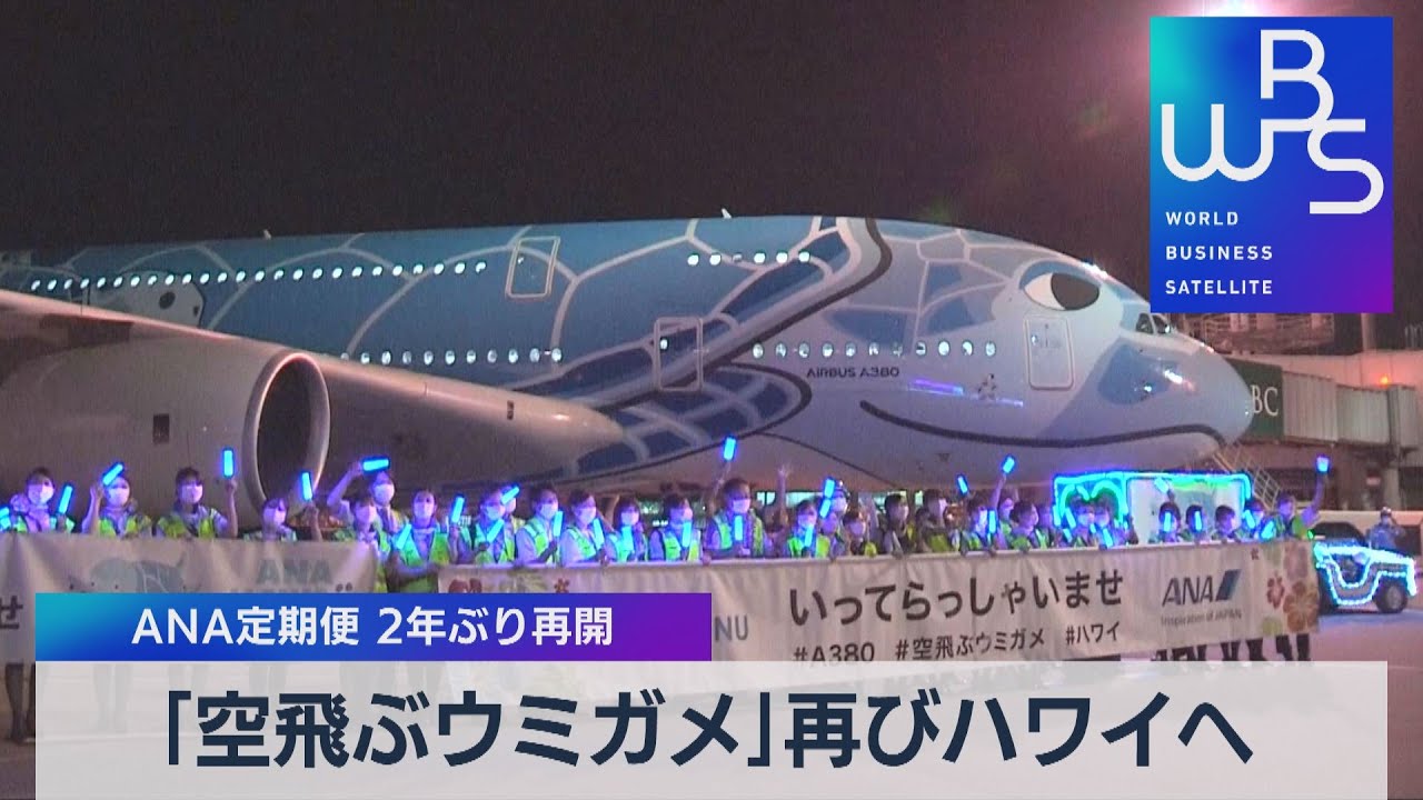 ビニールフロート　ANA 全日空　飛行機　ハワイ便　ホヌ　ウミガメ　新品未使用 ANAのハワイ便、ホヌ（ウミガメ）の飛行機に乗れると嬉しいです。青い