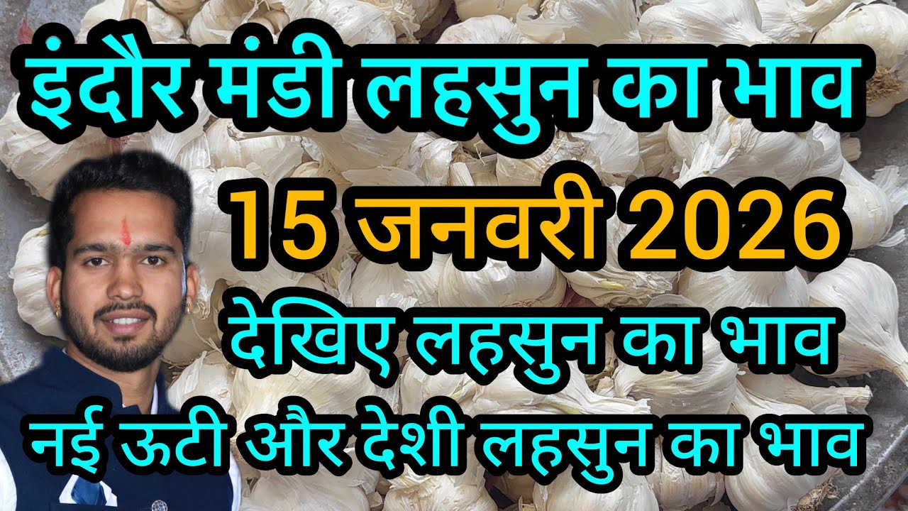 15 January 2026 इंदौर मंडी लहसुन का भाव 