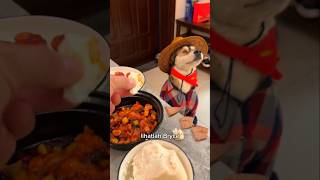 Anjing Pemilih Ini Punya Makanan Favorit 🐕‍🦺