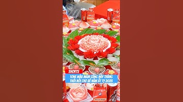 Tone màu mâm cúng đầy tháng thôi nôi cho bé sinh năm Ất Tỵ 2025 - Đồ Cúng Việt