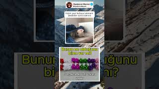 Kafaya Takmam @데푸2026