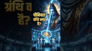 Mystery of Pineal Gland — क्या यही है इंसान का तीसरा नेत्र?  #shorts #thirdeye #science