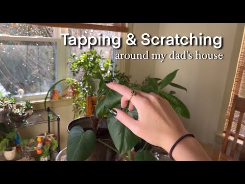 ASMR Around My Dad’s House! Tap & Scratch, No Talking 