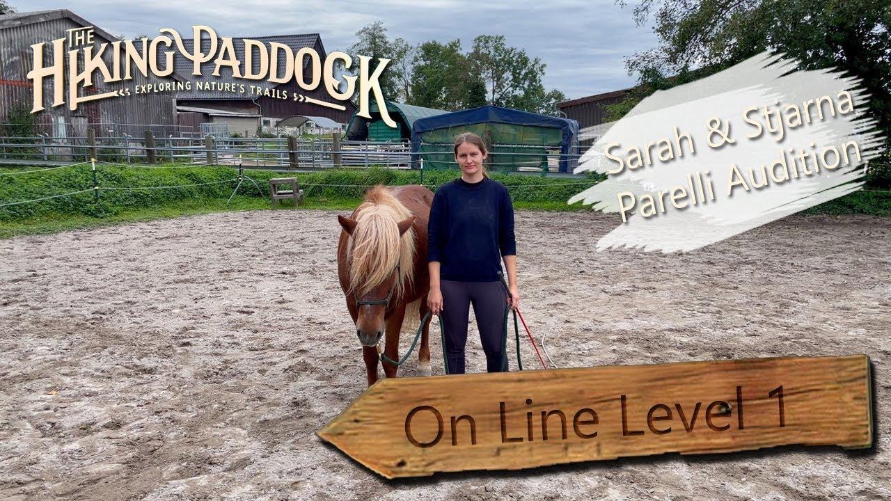 Sarah and Stjarna Parelli Audition On Line Level 1 | passed