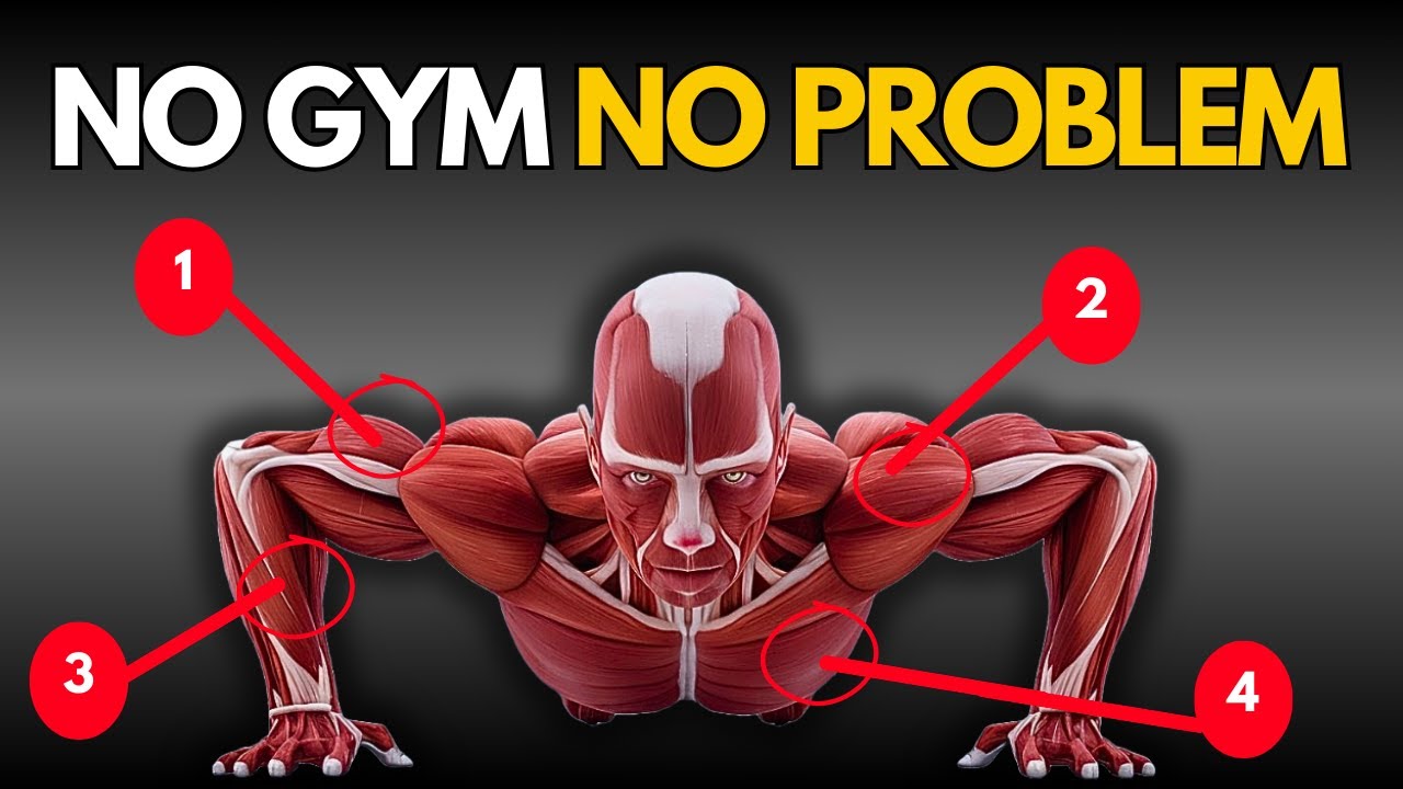 5 No Equipment Exercises to Transform Your Body Fast ! - YouTube
