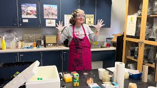 Mrs. Murdock explains the bacterial transformation lab