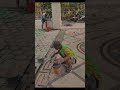 Tukang Batu Sikat Kediri || Proses Pembuatan Lantai Batu Sikat || #batusikat #lantai #shorts